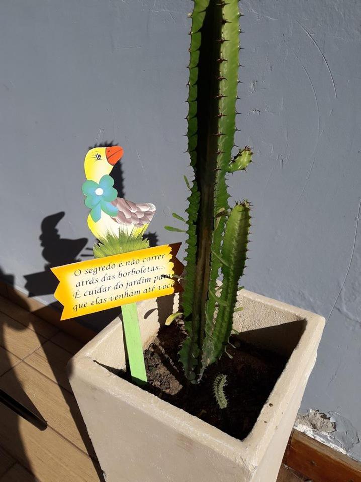 Aconchego De Um Lar Hospedagem Domiciliar Cabo Frio Buitenkant foto